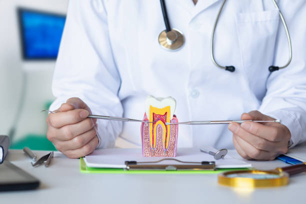 Best Dentist for Severe Toothache  in Fort Denaud, FL